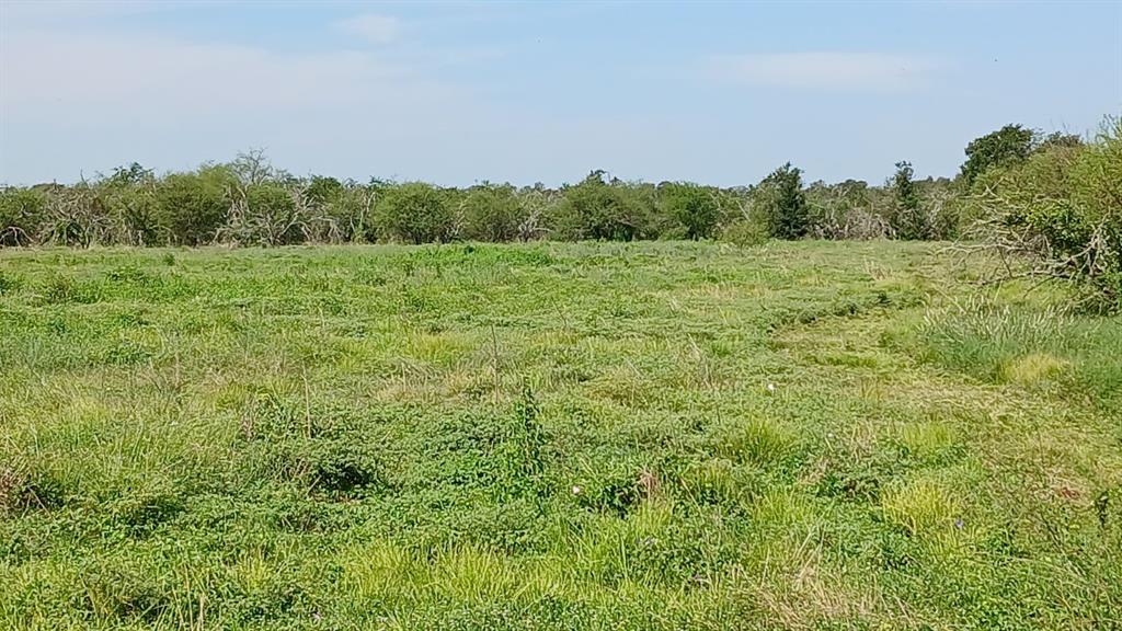 5025 5027 5029 Skinner Lane, Richmond, Texas image 5