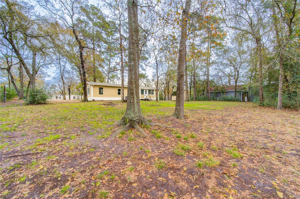 36819 Pine Bark Lane, Magnolia, Texas image 24