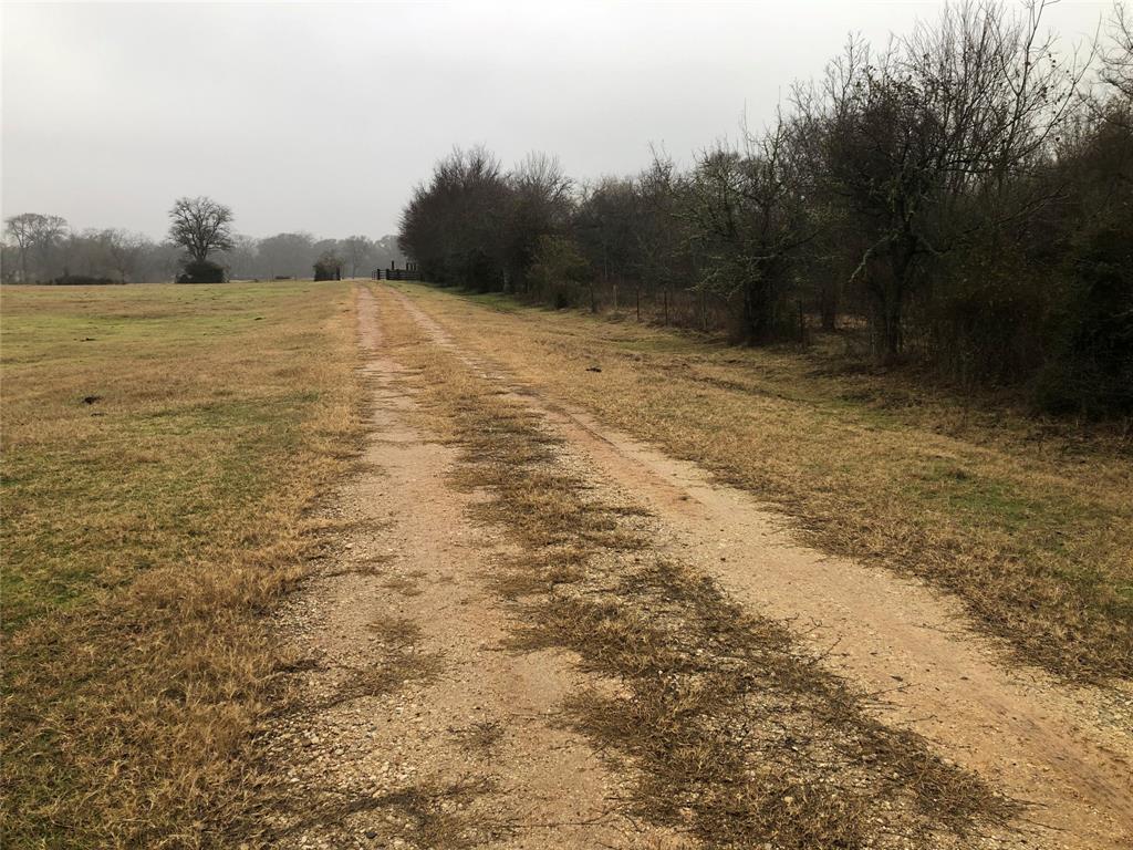 TBD 84.09 Acres Valley Road, Bryan, Texas image 3