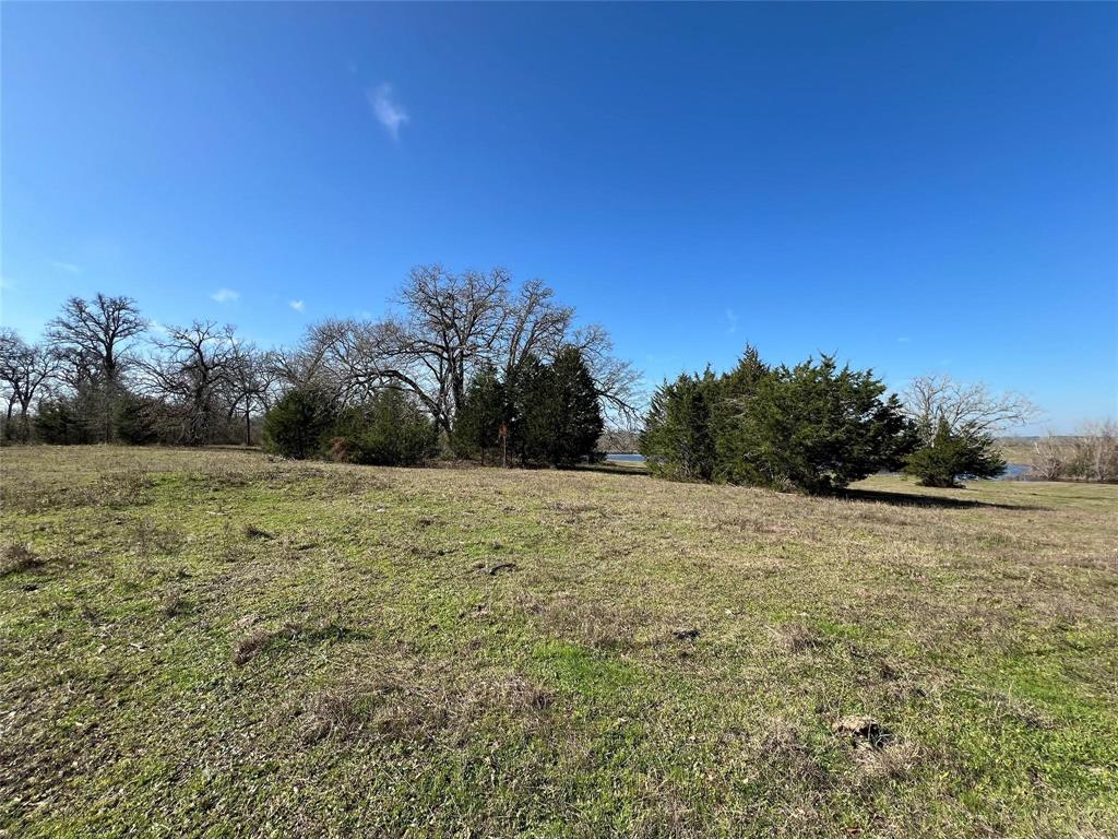 19285 Moriarty Road, Richards, Texas image 4
