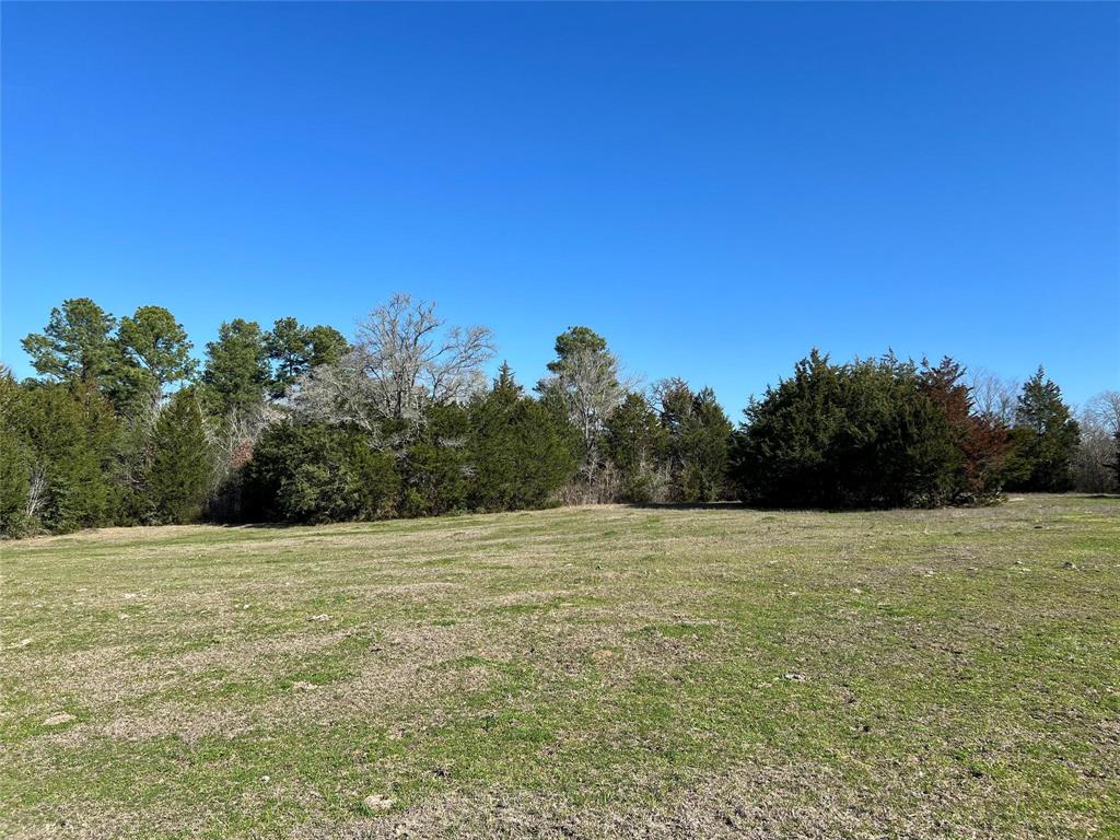 19285 Moriarty Road, Richards, Texas image 6
