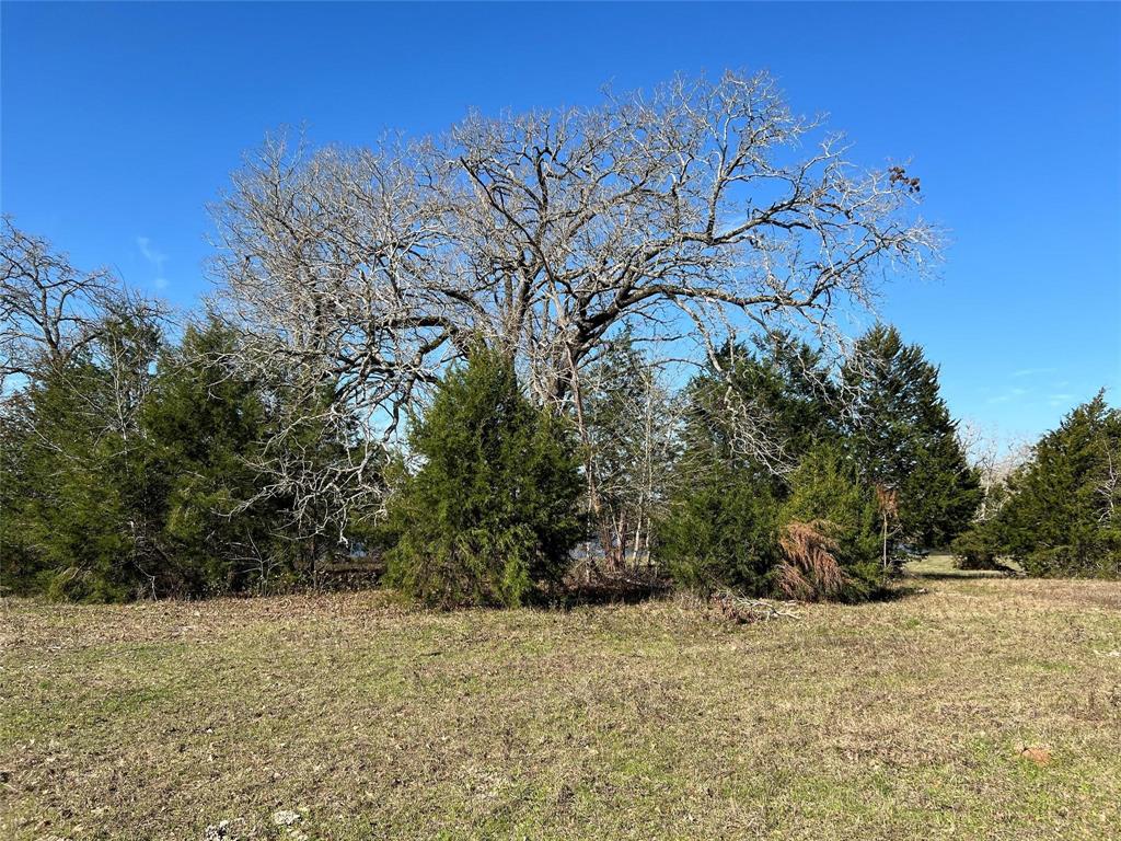 19285 Moriarty Road, Richards, Texas image 3