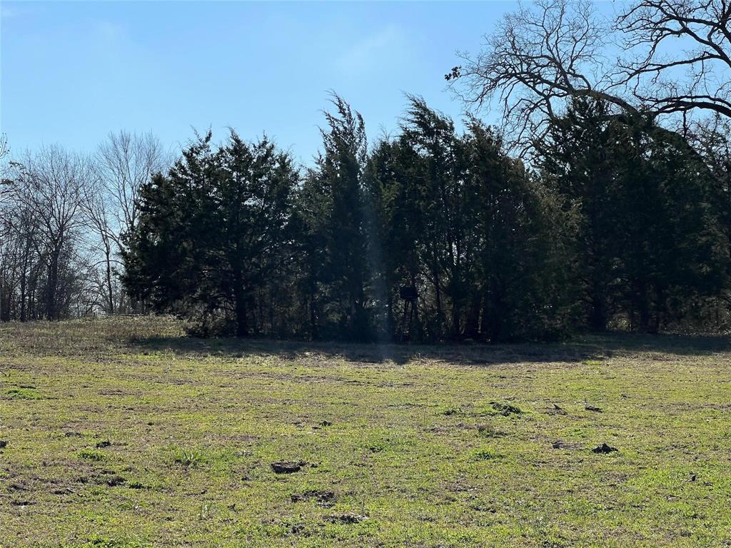 19285 Moriarty Road, Richards, Texas image 7