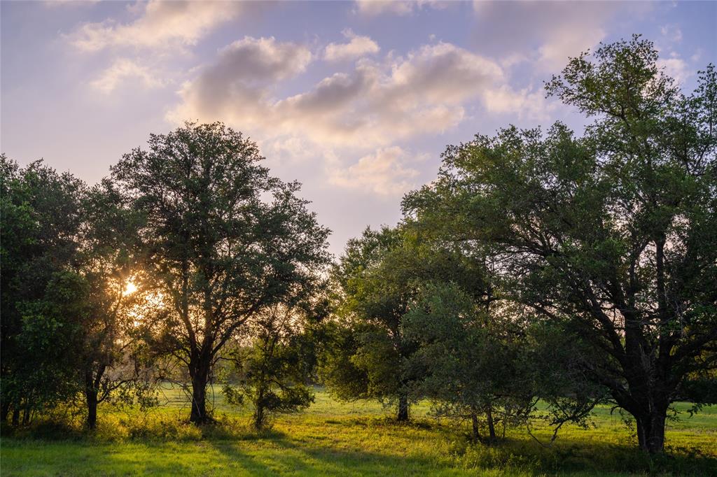 1220 County Road 131b, Hallettsville, Texas image 18