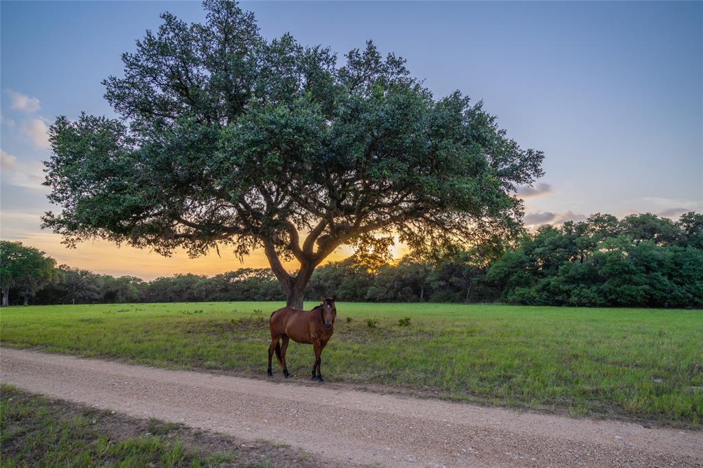 1220 County Road 131b, Hallettsville, Texas image 19