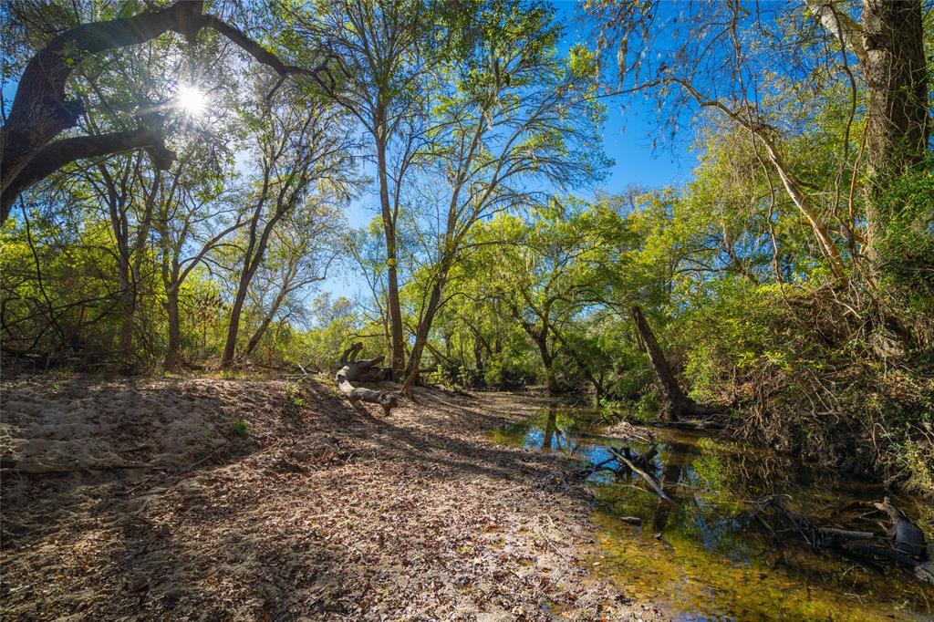 1220 County Road 131b, Hallettsville, Texas image 9