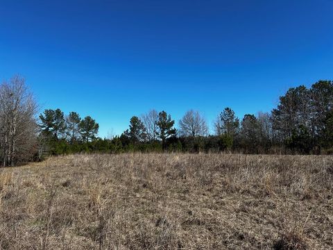 Vacant Land For Sale - R14353 Cr 167<br/> Long Branch, TX 75669