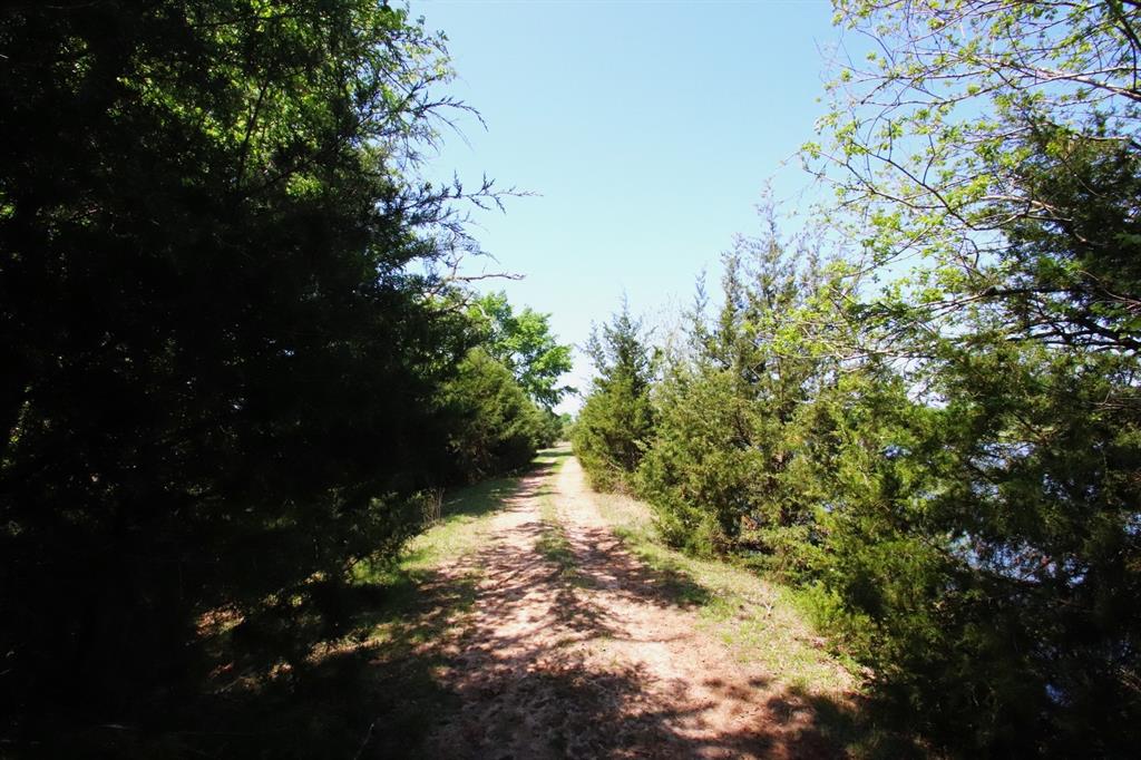 TBD Fm 17, Grand Saline, Texas image 6