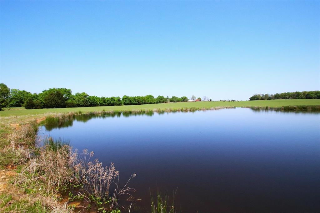 TBD Fm 17, Grand Saline, Texas image 18