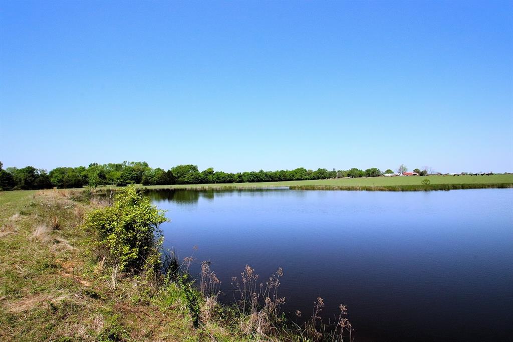 TBD Fm 17, Grand Saline, Texas image 12