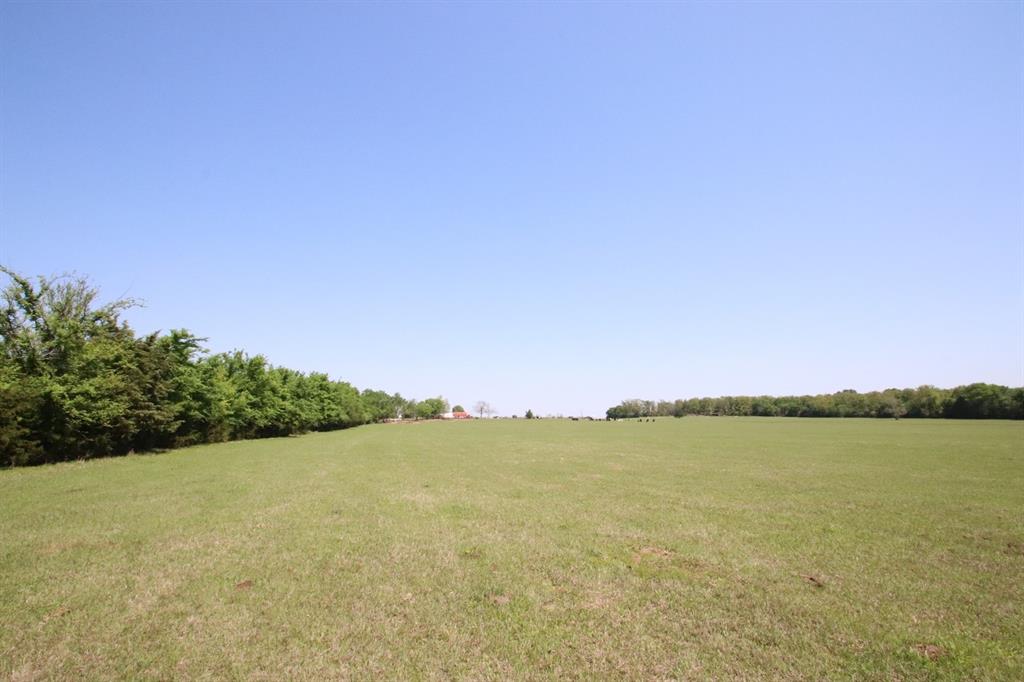 TBD Fm 17, Grand Saline, Texas image 29