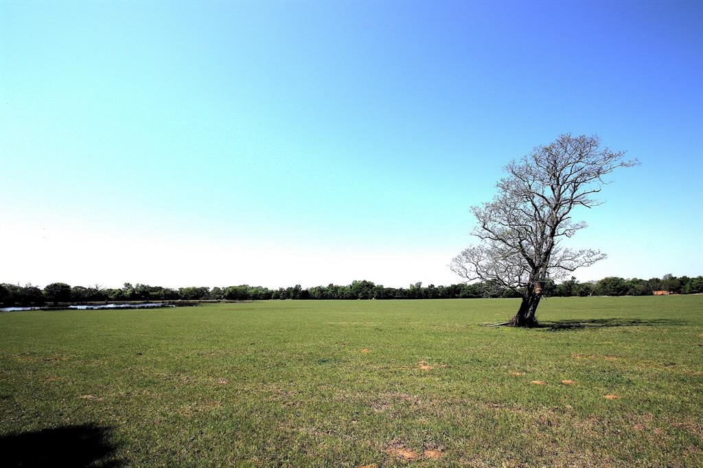 TBD Fm 17, Grand Saline, Texas image 26