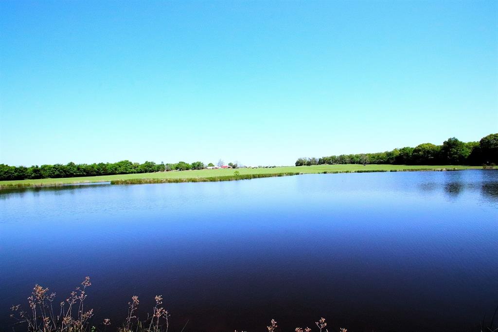 TBD Fm 17, Grand Saline, Texas image 16