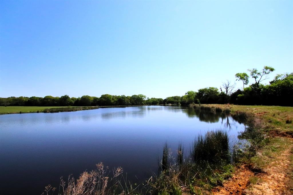 TBD Fm 17, Grand Saline, Texas image 14