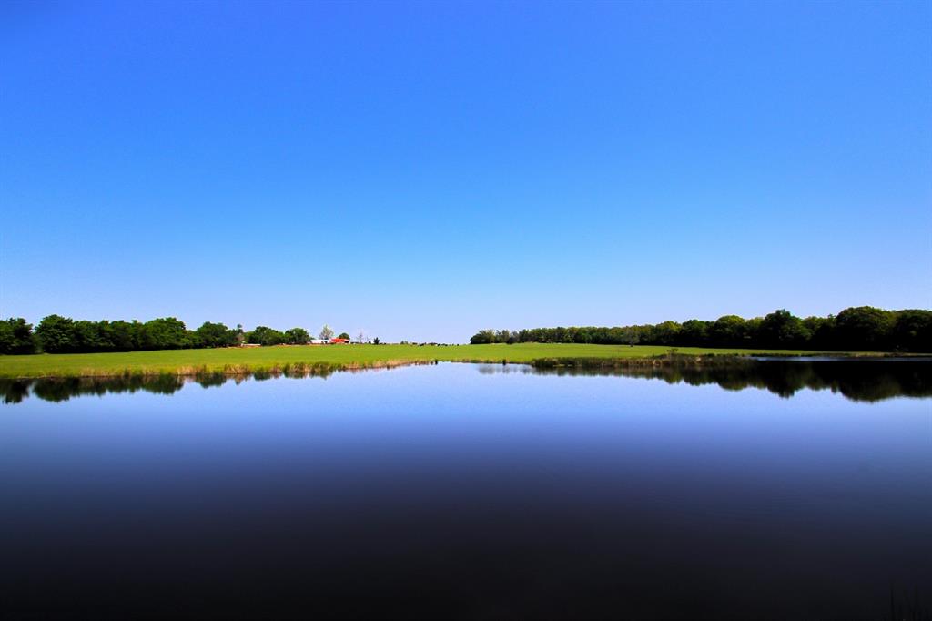 TBD Fm 17, Grand Saline, Texas image 1