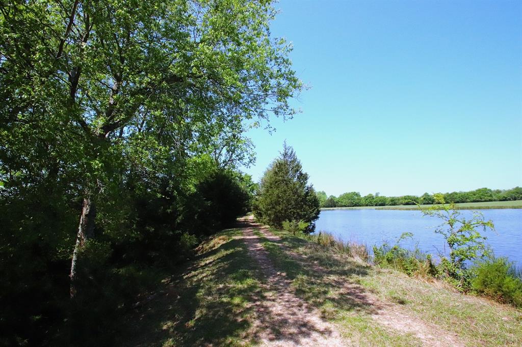 TBD Fm 17, Grand Saline, Texas image 5