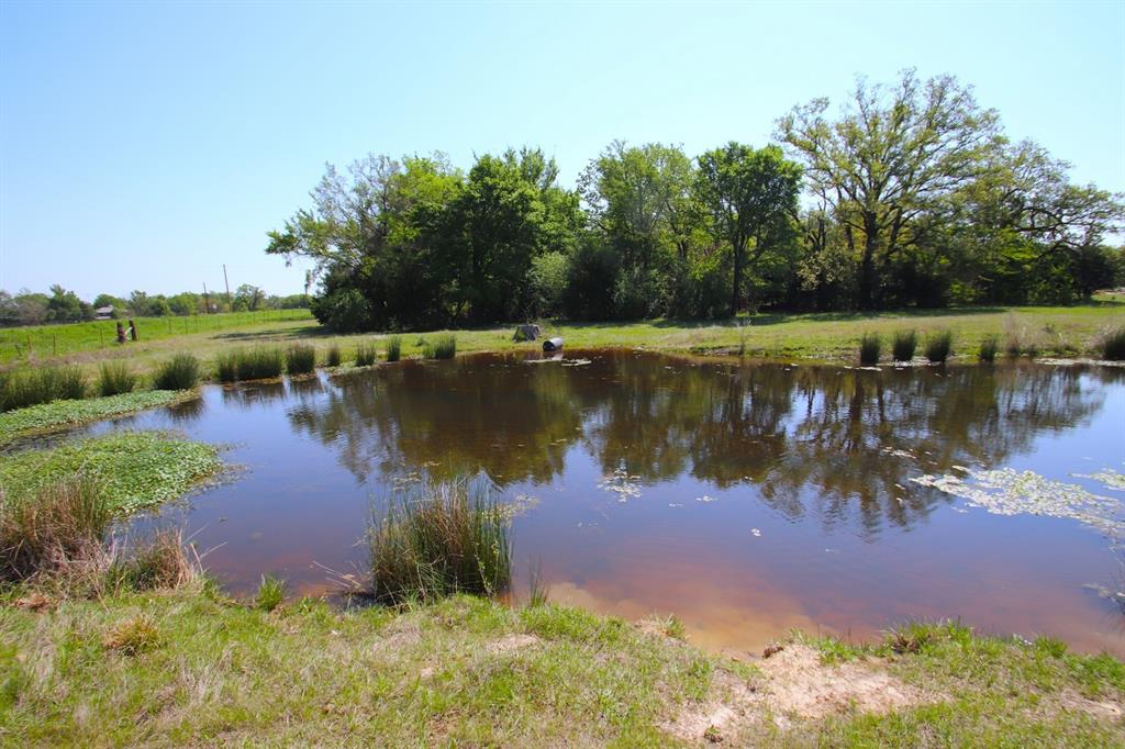 TBD Fm 17, Grand Saline, Texas image 34