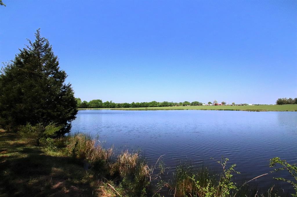 TBD Fm 17, Grand Saline, Texas image 4