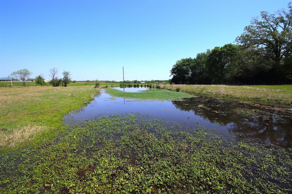 TBD Fm 17, Grand Saline, Texas image 36