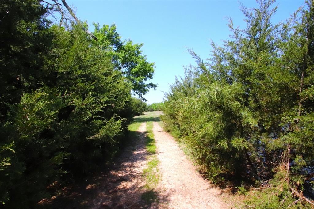 TBD Fm 17, Grand Saline, Texas image 9