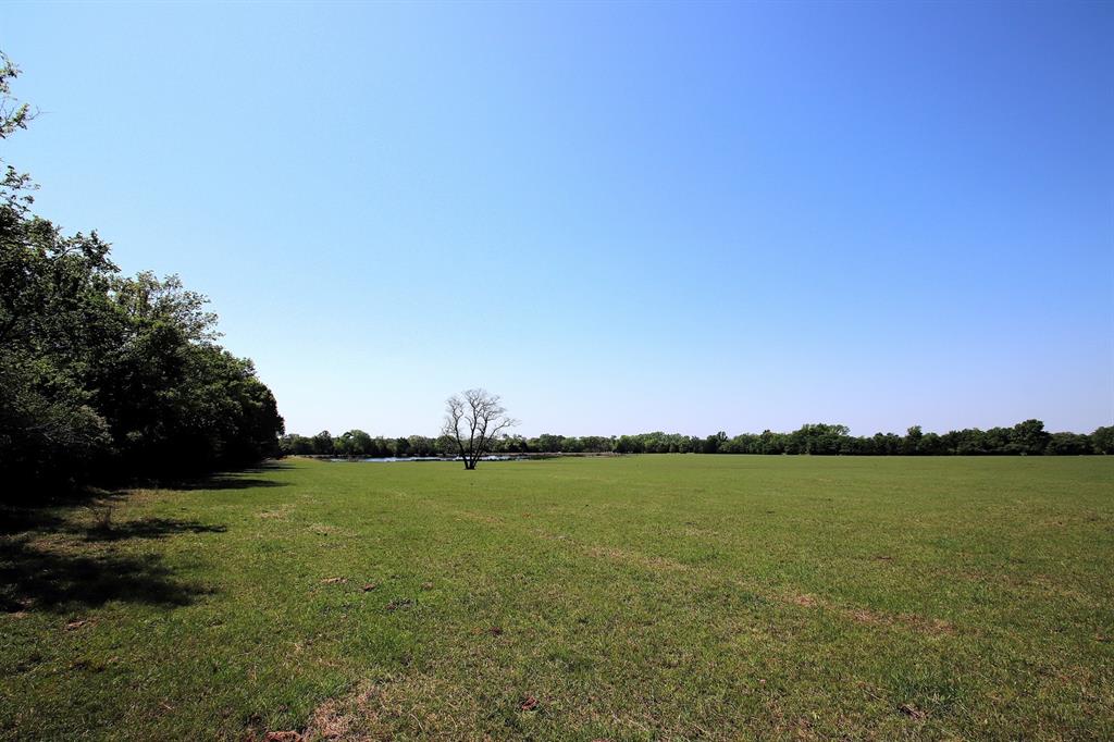 TBD Fm 17, Grand Saline, Texas image 40