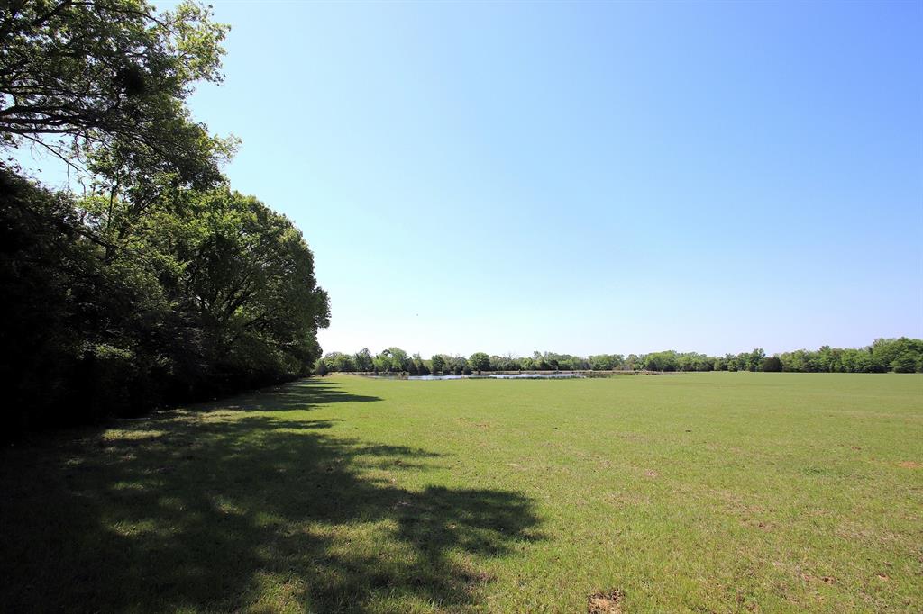 TBD Fm 17, Grand Saline, Texas image 25