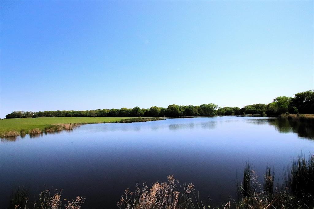 TBD Fm 17, Grand Saline, Texas image 19