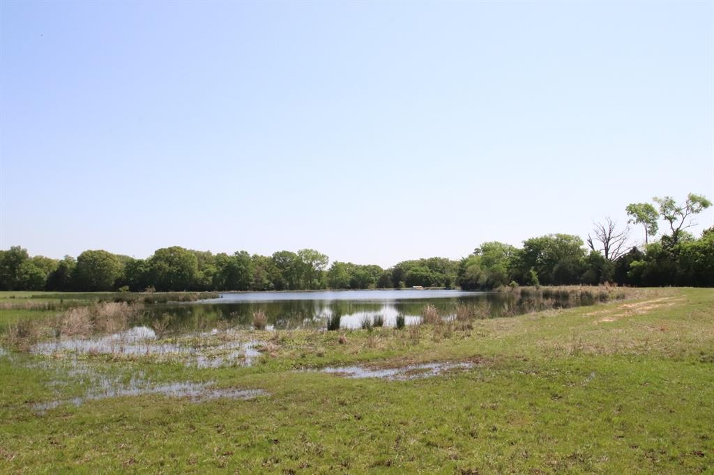 TBD Fm 17, Grand Saline, Texas image 23