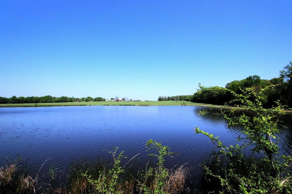 TBD Fm 17, Grand Saline, Texas image 3