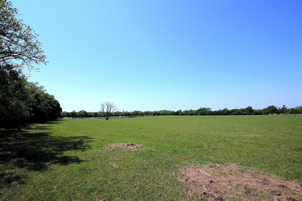 TBD Fm 17, Grand Saline, Texas image 39