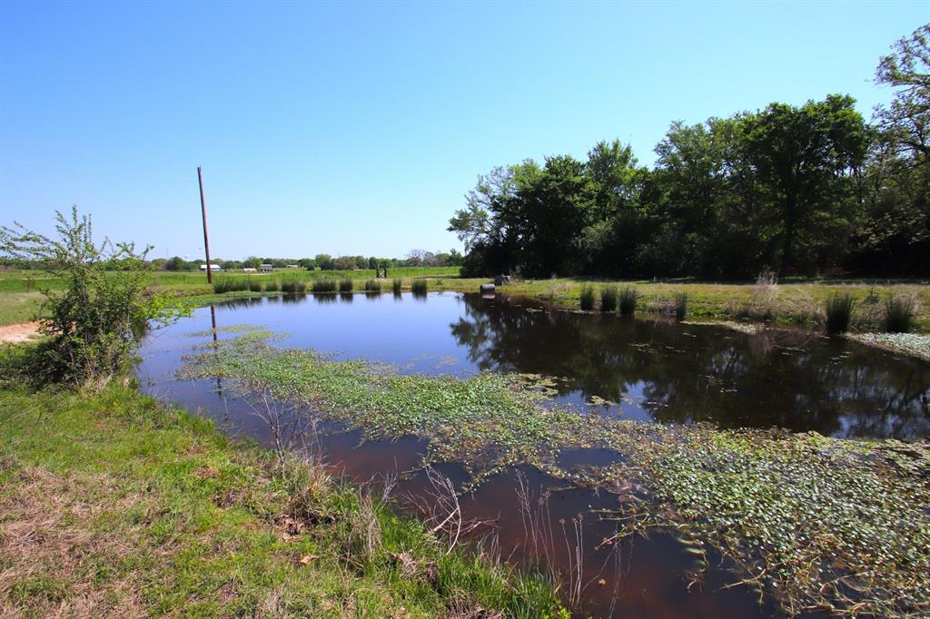 TBD Fm 17, Grand Saline, Texas image 35