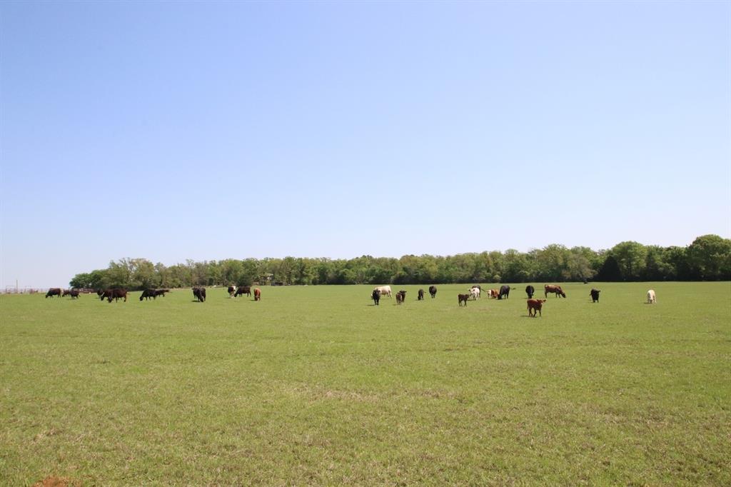 TBD Fm 17, Grand Saline, Texas image 30