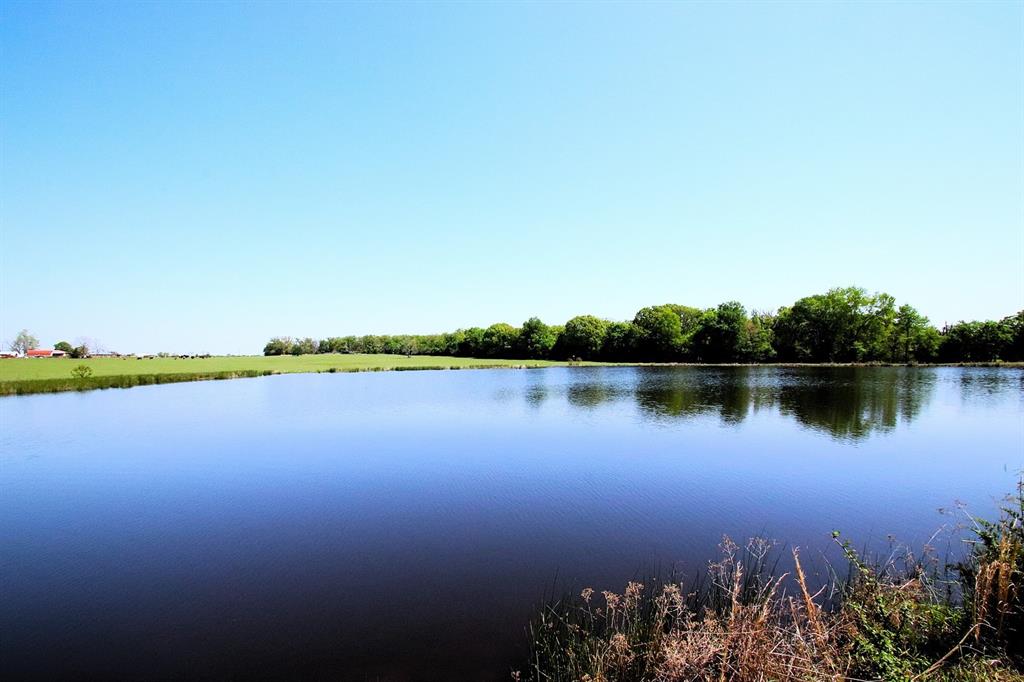 TBD Fm 17, Grand Saline, Texas image 15