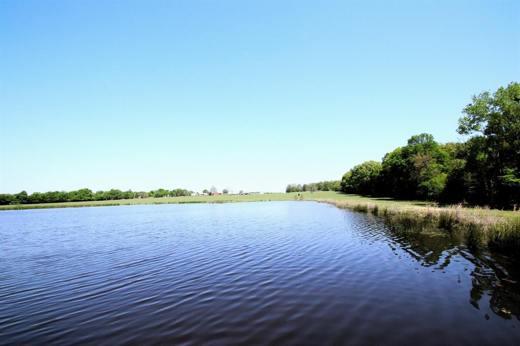 TBD Fm 17, Grand Saline, Texas image 2