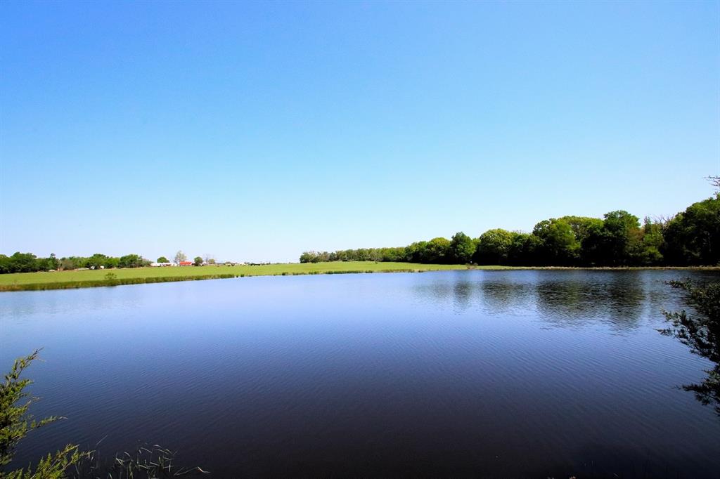 TBD Fm 17, Grand Saline, Texas image 7