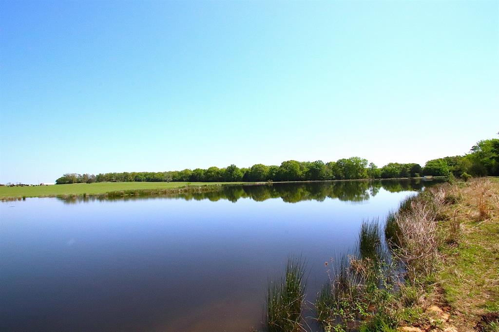 TBD Fm 17, Grand Saline, Texas image 17