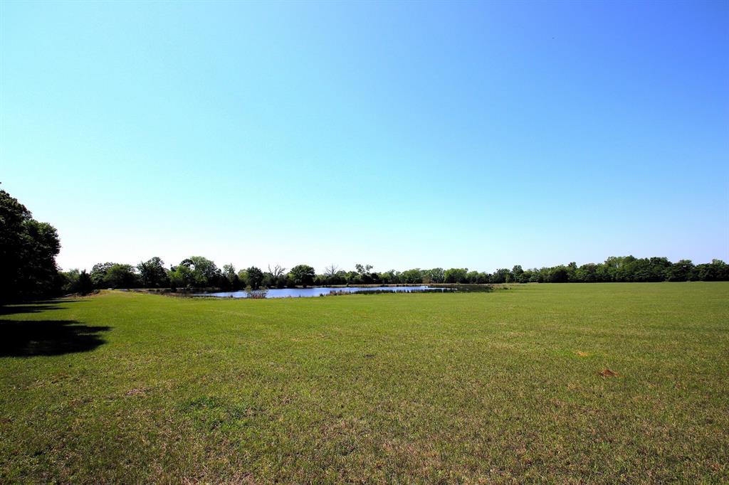 TBD Fm 17, Grand Saline, Texas image 42