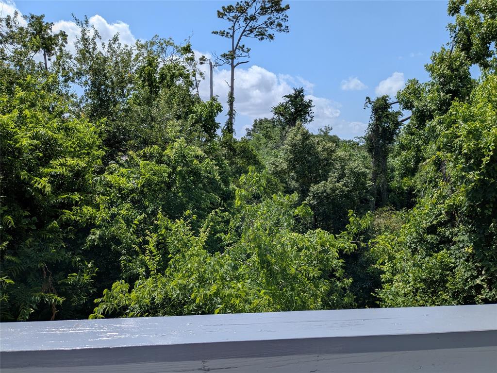 782 Worthshire Street, Houston, Texas image 23