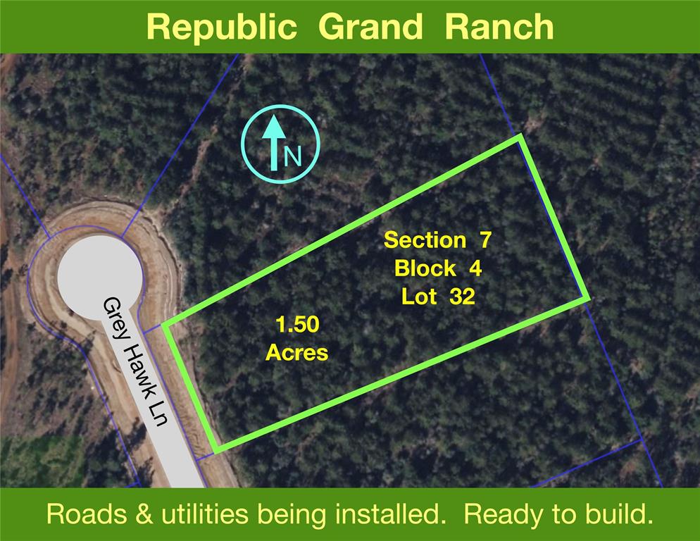 15762 Grey Hawk Lane, Willis, Texas image 1