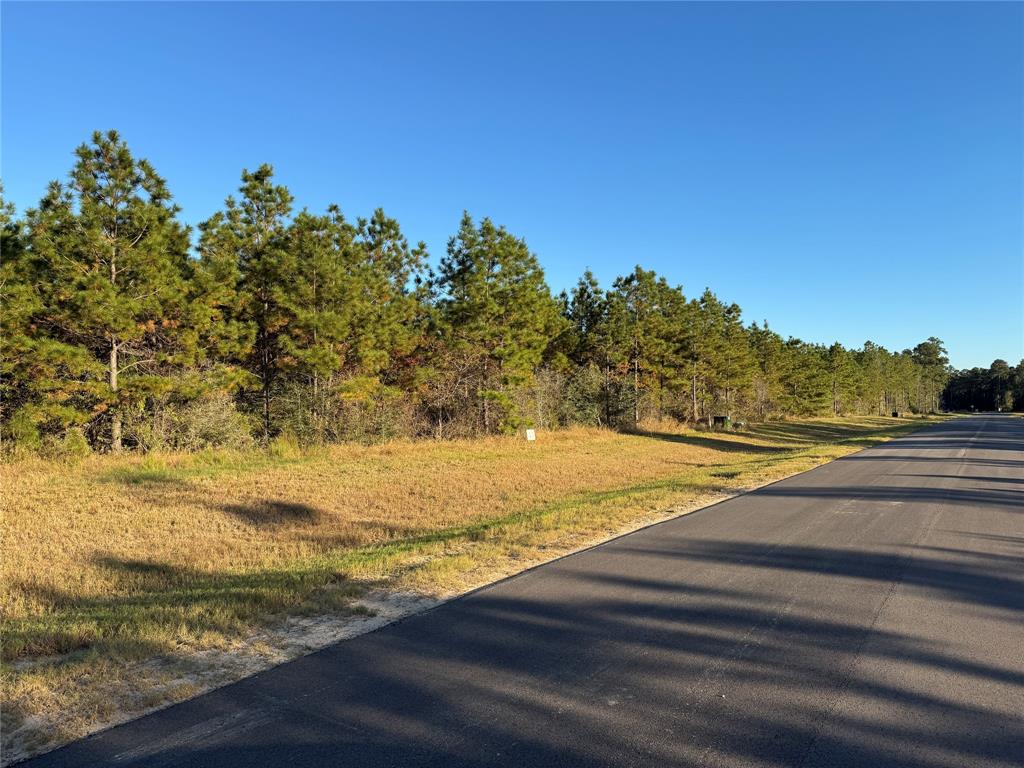 15762 Grey Hawk Lane, Willis, Texas image 4