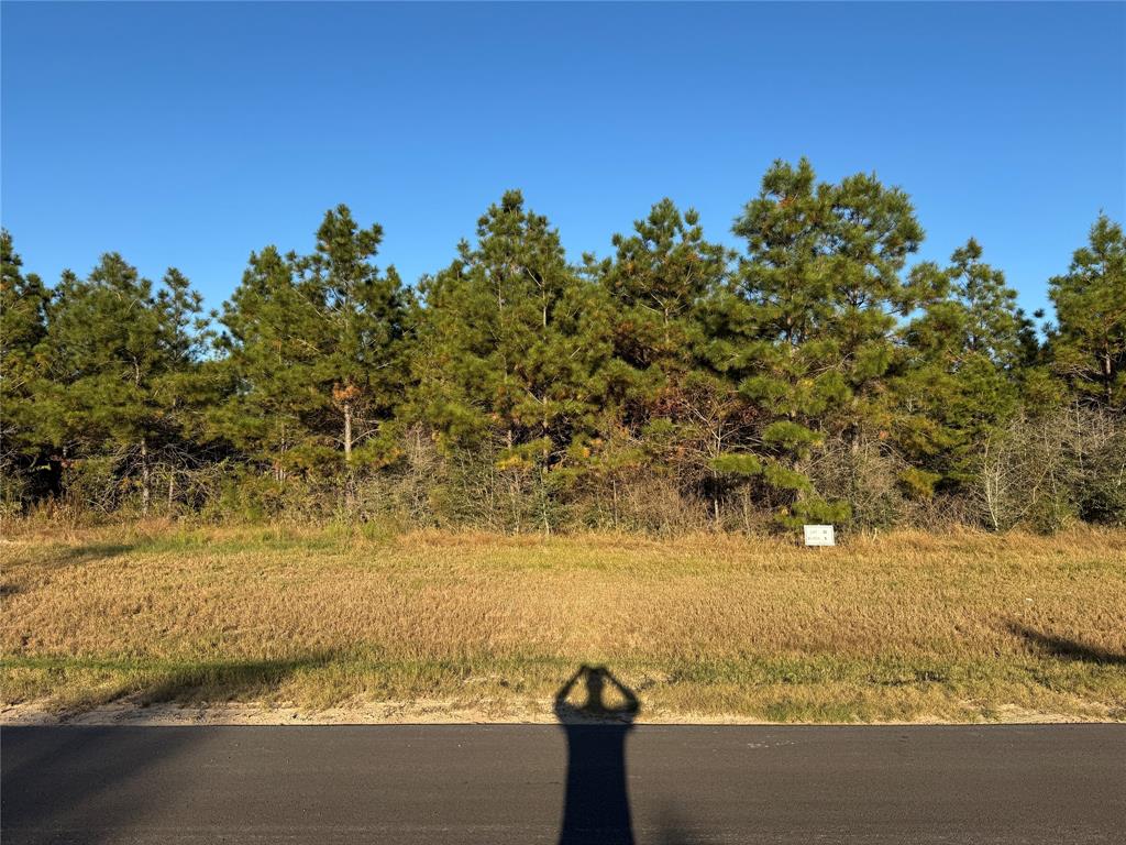 15762 Grey Hawk Lane, Willis, Texas image 5