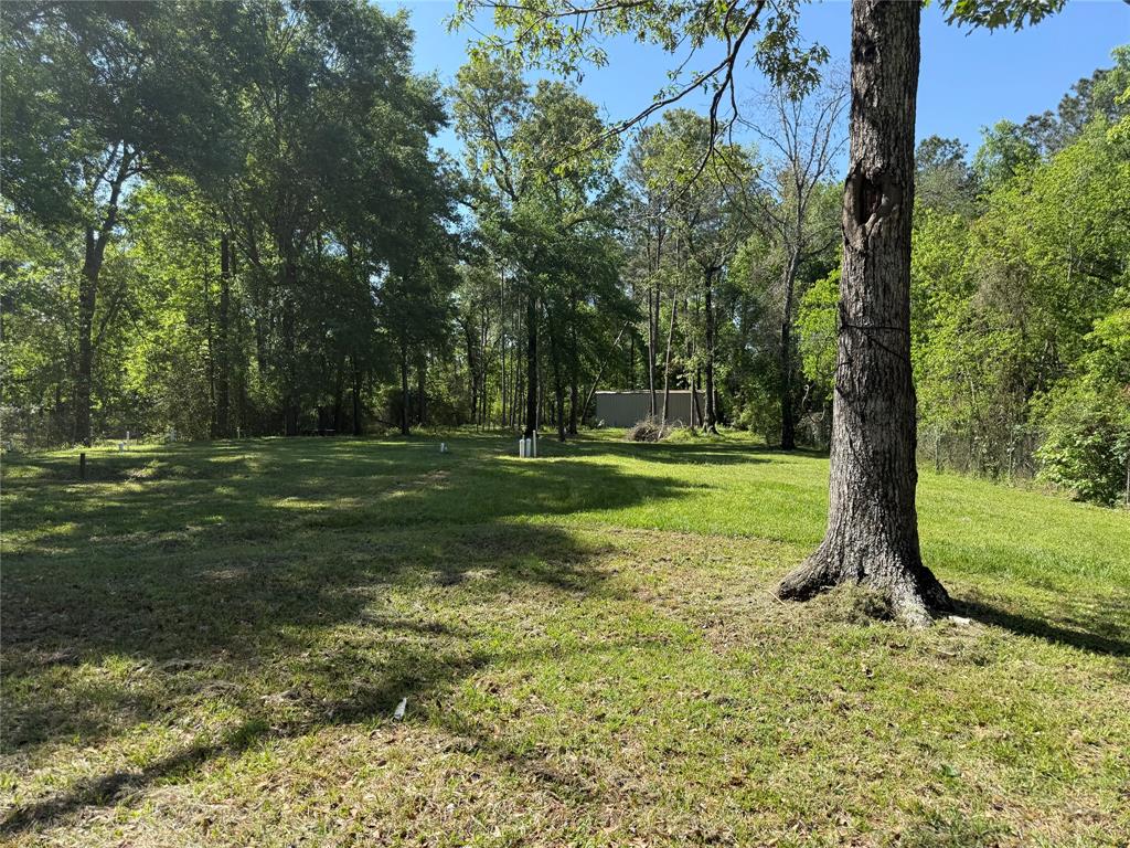 19156 Timberland Boulevard, Porter, Texas image 3
