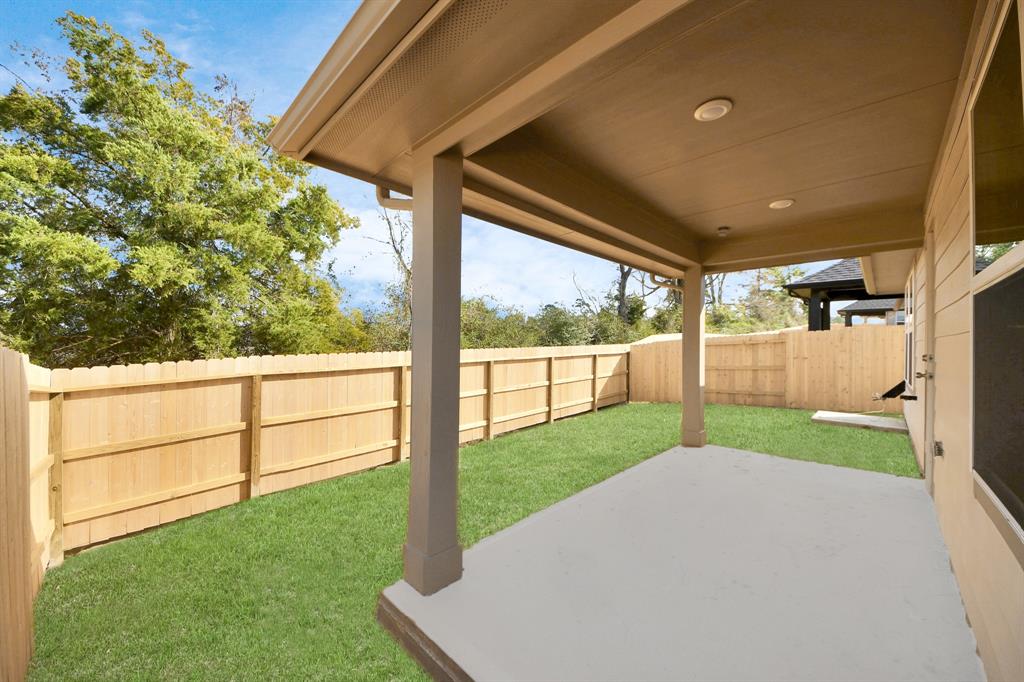 20934 Carob Tree Lane, Tomball, Texas image 22