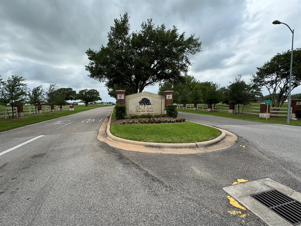 18114 Cypress Hill Drive, Rosharon, Texas image 1