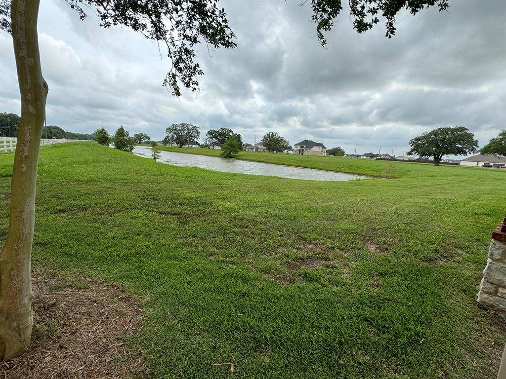 18114 Cypress Hill Drive, Rosharon, Texas image 3