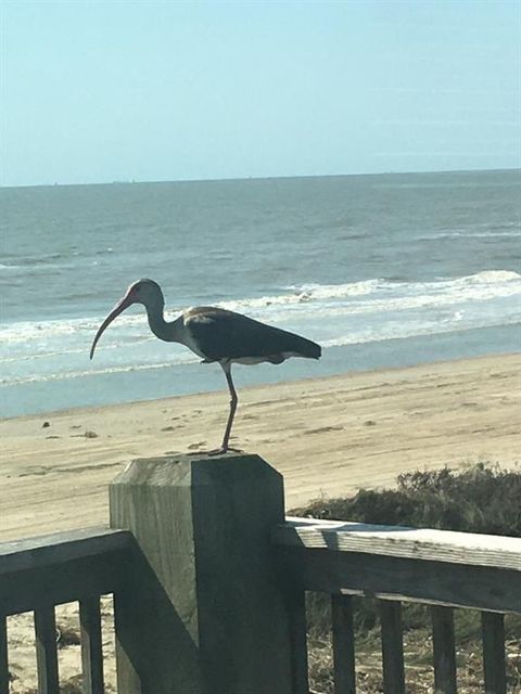 A home in Crystal Beach