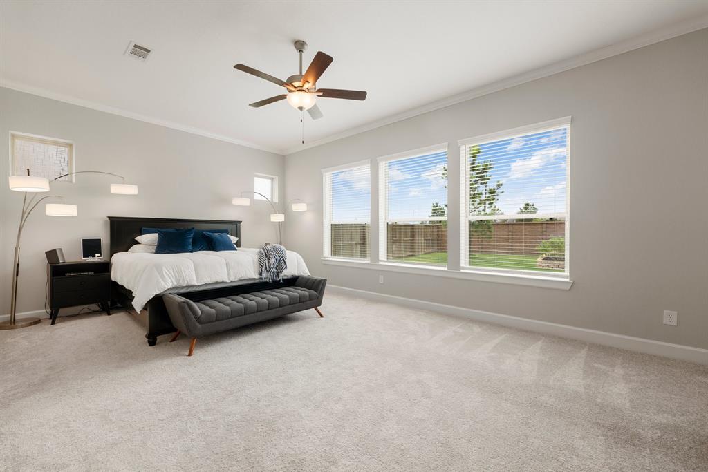 7119 Button Bush Way, Katy, Texas image 9