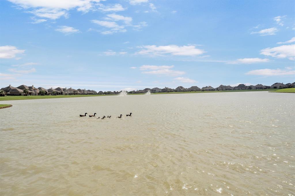 31397 Greenville Creek Lane, Hockley, Texas image 12