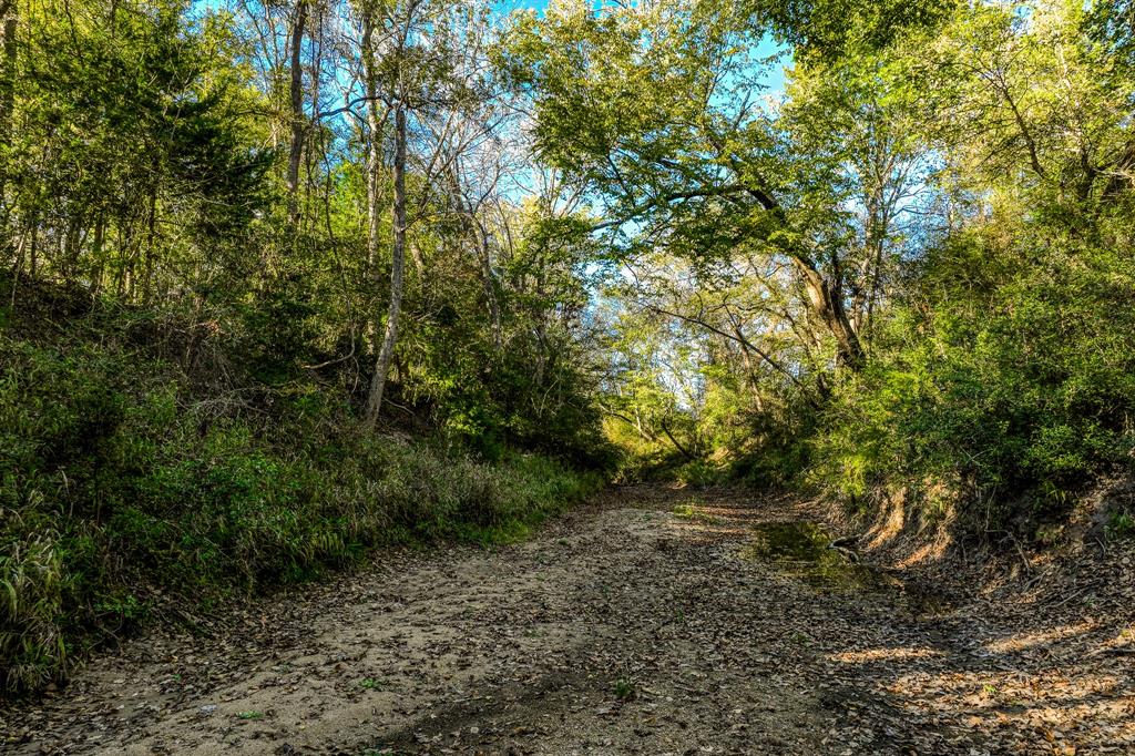 Tracts 8&9 Brandt Rd, Burton, Texas image 9