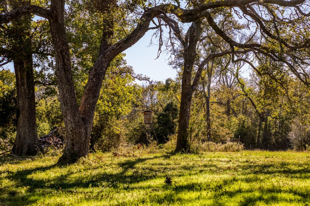 Tracts 8&9 Brandt Rd, Burton, Texas image 6